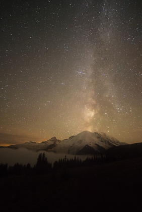 Mt. Rainier National Park