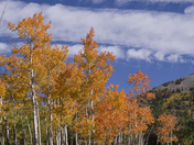 Great Basin National Park