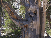 Great Basin National Park