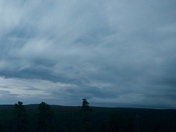 Kaibab National Forest 