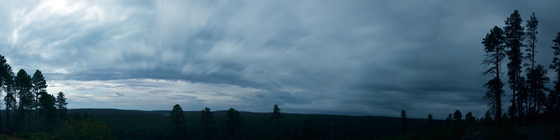 Kaibab National Forest 