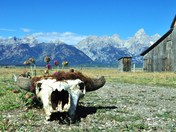 Grand Teton