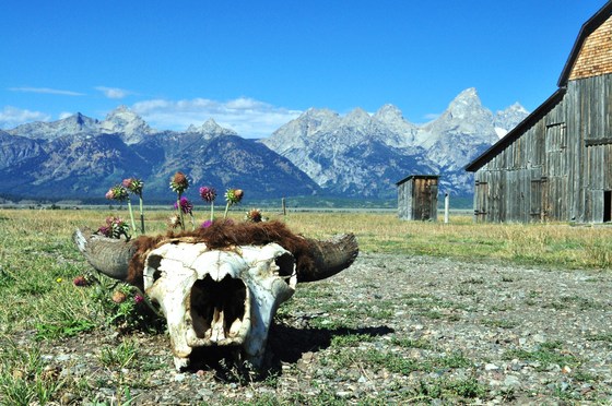 Grand Teton