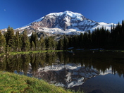 Mt Rainier National Park