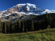 Mt Rainier