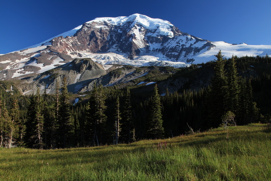 Mt Rainier