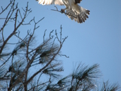Gulf Islands National Seashore