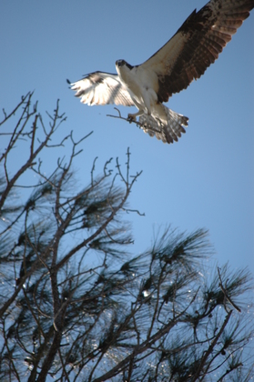 Gulf Islands National Seashore