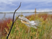 Fall - The Best Season