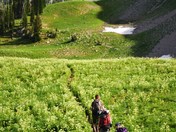 Jedediah Smith Wilderness