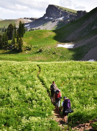 Jedediah Smith Wilderness