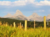 Grand Teton National Park/ Jedediah Smith Wilderness
