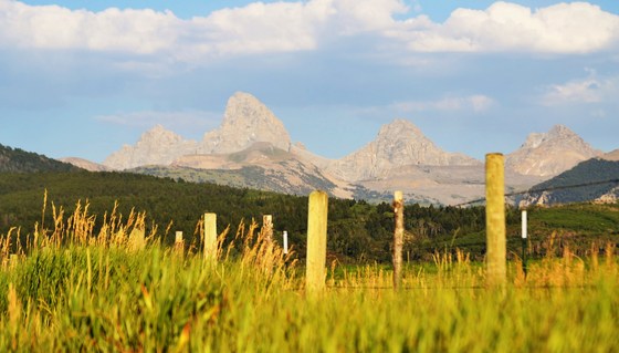Grand Teton National Park/ Jedediah Smith Wilderness
