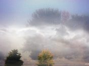 Early morning.......