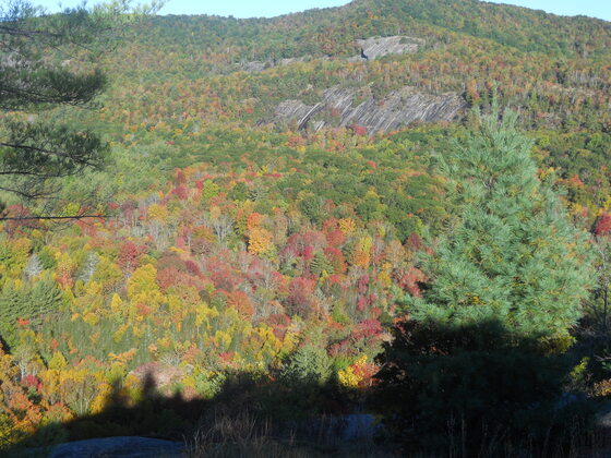 NANTAHALA NATIONAL FOREST