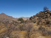 organ mountains