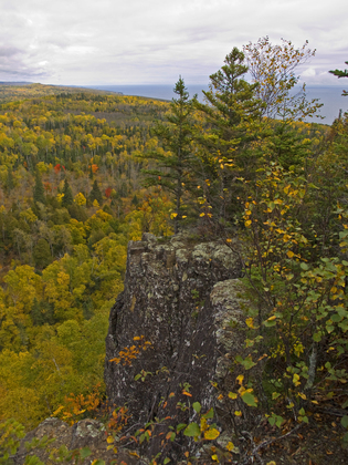 superior national forest
