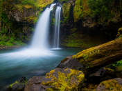 Gifford Pinchot National Forest