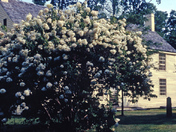Saratoga National Historic Park