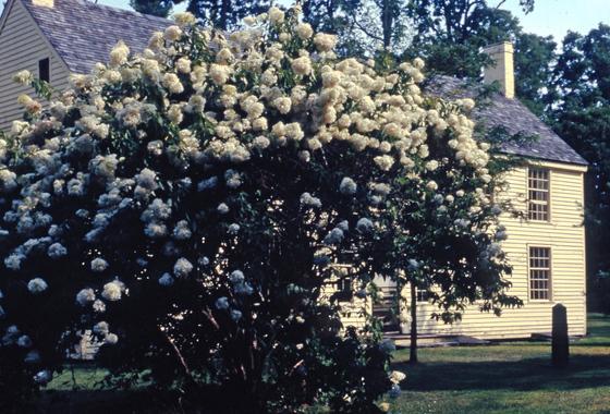 Saratoga National Historic Park