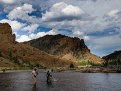 Shoshone National Forest