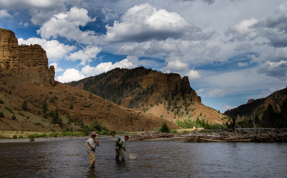 Shoshone National Forest