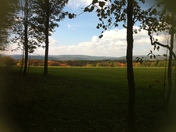 Allegheny National Forest
