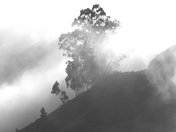 Golden Gate National Recreation Area