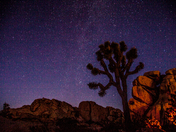 Joshua Tree National Park