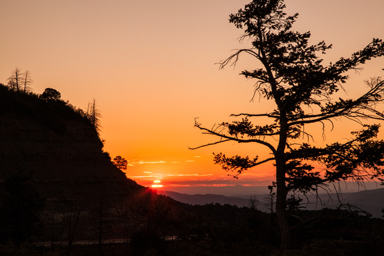 Mesa Verde National Park
