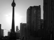 CN Tower