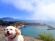 Golden Gate National Recreation Area