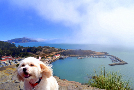 Golden Gate National Recreation Area
