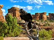 Canyonlands National Park