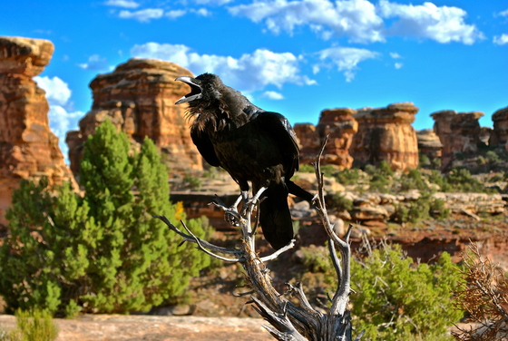 Canyonlands National Park