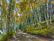 San Juan National Forest