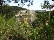 Theodore Roosevelt National Park