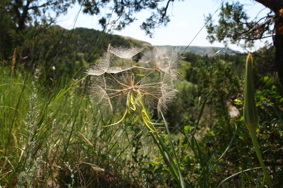 Theodore Roosevelt National Park