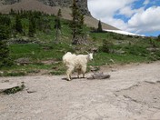 Glacier National Park