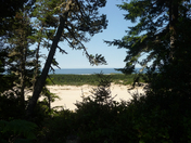 Oregon Sand Dunes Nat'l Recreation Area