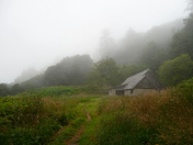 Redwoods National Park