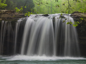 Ozark National Forest