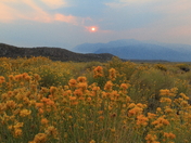 Mono Basin Recreational Area