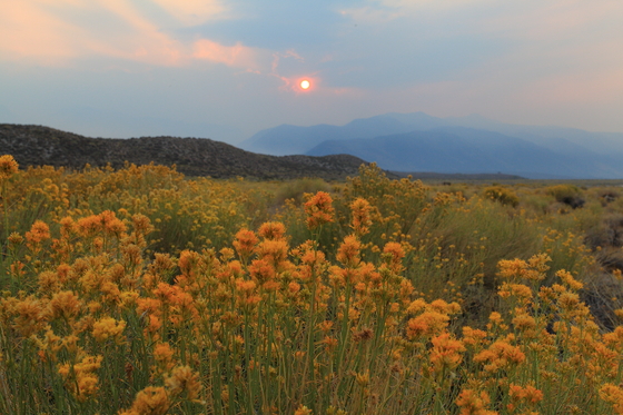 Mono Basin Recreational Area