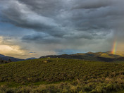 Yellowstone National Park
