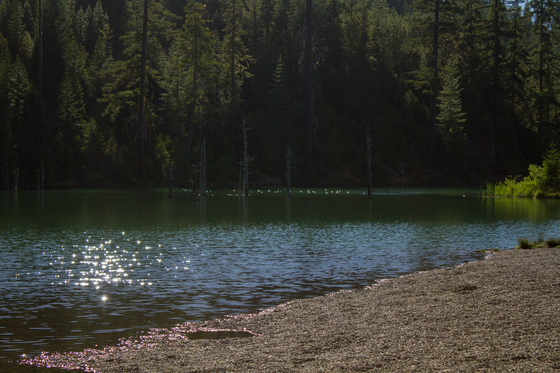 Rogue River-Siskiyou Nation Forest - Spalding Pond