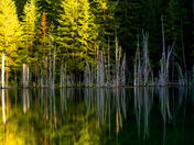 Rogue River-Siskiyou Nation Forest - Spalding Pond