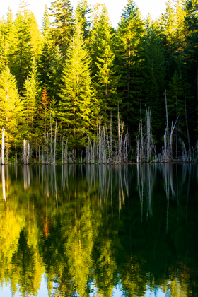 Rogue River-Siskiyou Nation Forest - Spalding Pond