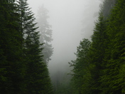 Olympic National Park