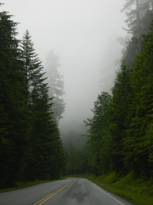 Olympic National Park
